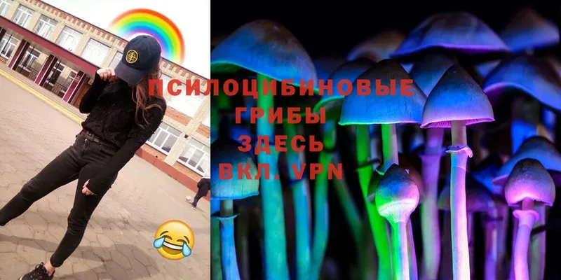 Галлюциногенные грибы Psilocybine cubensis  Жигулёвск 